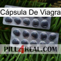 Cápsula De Viagra 31